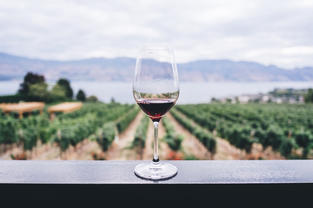 Photo Wine glass