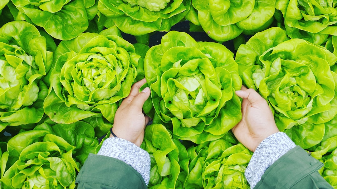 Photo Fresh salad