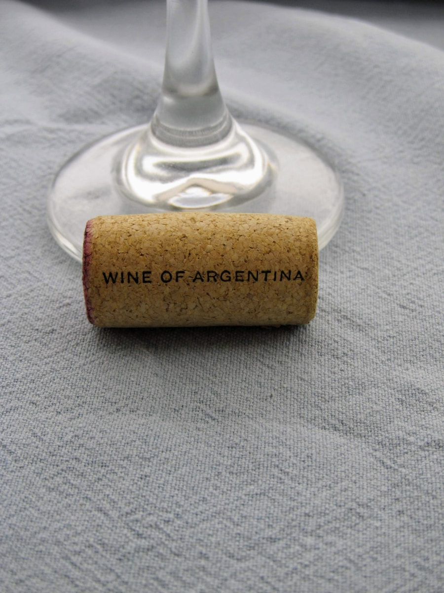 Perfect Pairings: Mastering the Art of Wine Pairing