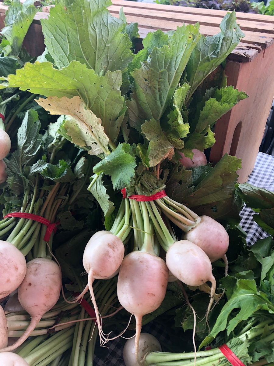 Supporting Local Farmers: The Benefits of Local Produce