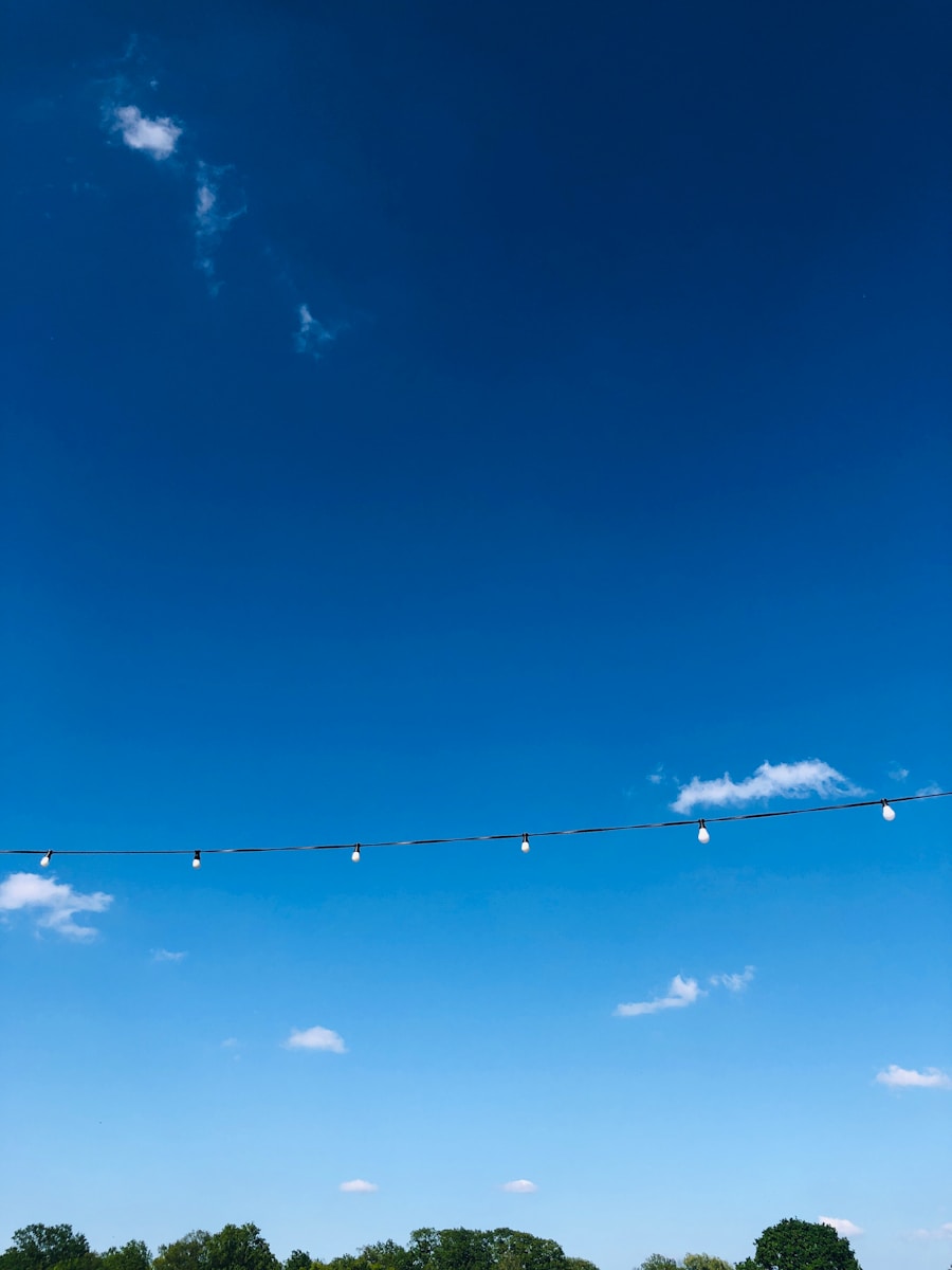 Local Festival Near Me This Weekend